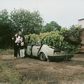 Pity Car or the Ascension of Škoda 105 L, Prague, June 16, 2001