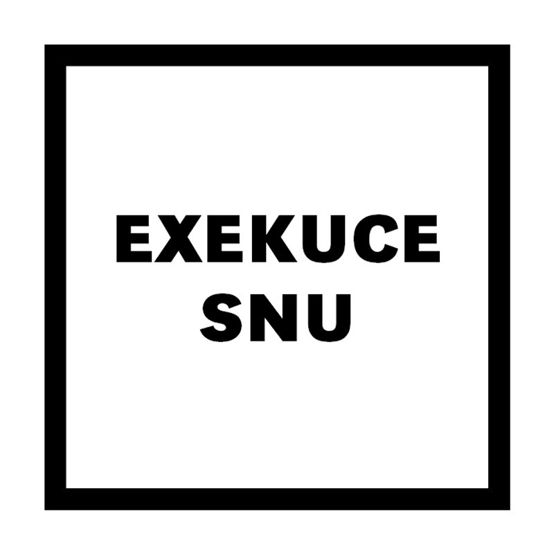 EXEKUCE SNU / výstava